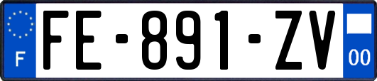 FE-891-ZV