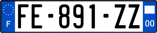 FE-891-ZZ