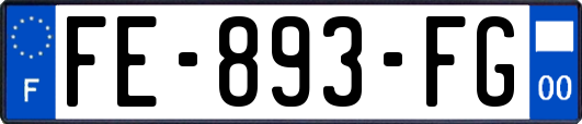 FE-893-FG