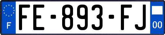 FE-893-FJ