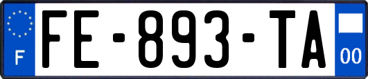 FE-893-TA