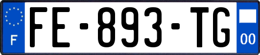 FE-893-TG
