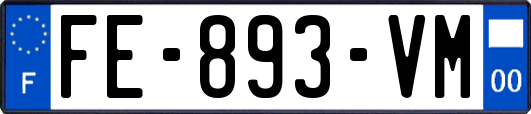FE-893-VM
