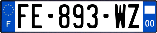 FE-893-WZ