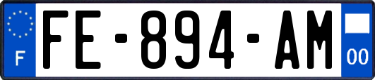 FE-894-AM