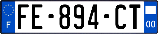 FE-894-CT