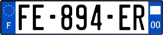 FE-894-ER