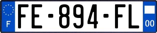 FE-894-FL