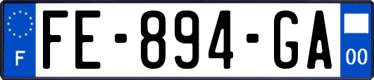 FE-894-GA