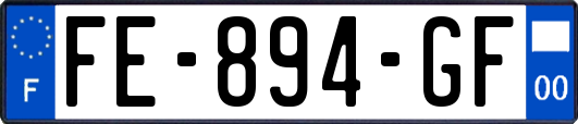 FE-894-GF