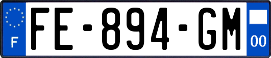 FE-894-GM