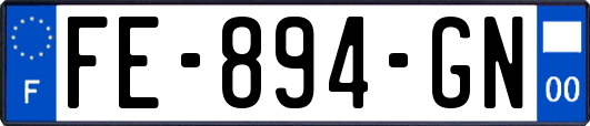 FE-894-GN