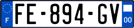 FE-894-GV