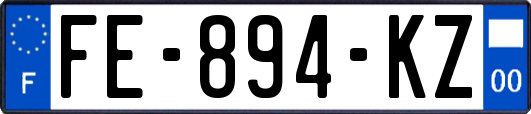 FE-894-KZ