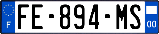 FE-894-MS