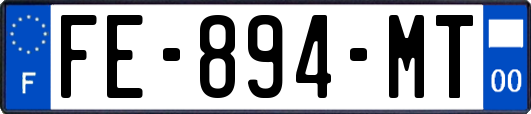 FE-894-MT