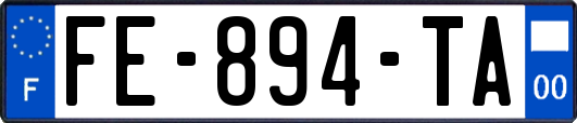 FE-894-TA