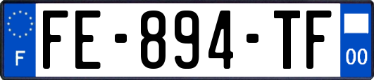 FE-894-TF