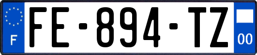 FE-894-TZ