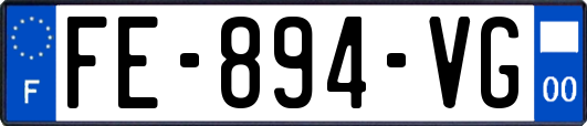 FE-894-VG