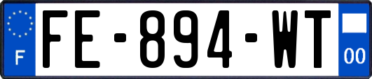 FE-894-WT