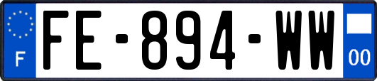 FE-894-WW