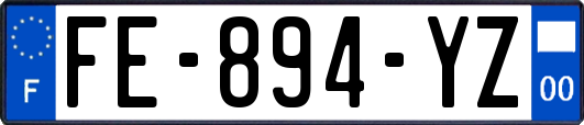 FE-894-YZ