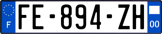 FE-894-ZH