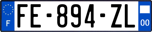 FE-894-ZL