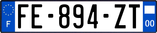 FE-894-ZT