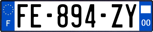 FE-894-ZY