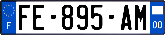 FE-895-AM