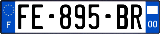 FE-895-BR