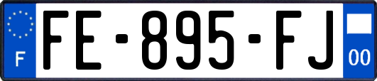 FE-895-FJ