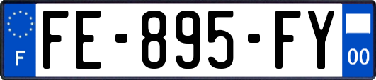 FE-895-FY