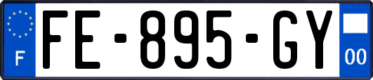 FE-895-GY