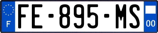 FE-895-MS