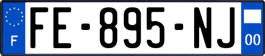 FE-895-NJ