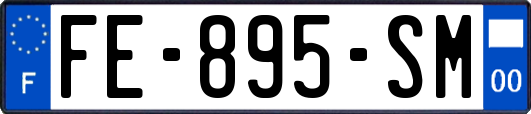 FE-895-SM