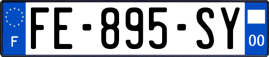 FE-895-SY