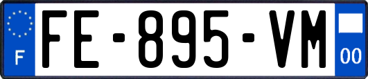 FE-895-VM