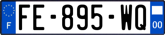 FE-895-WQ