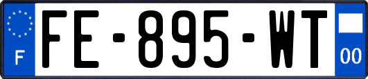 FE-895-WT