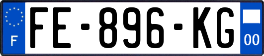 FE-896-KG
