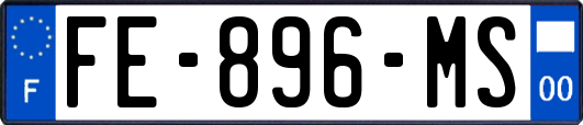 FE-896-MS