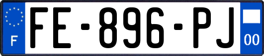 FE-896-PJ