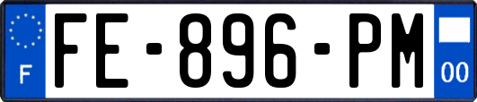 FE-896-PM