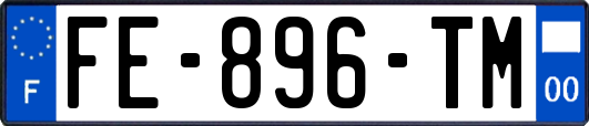 FE-896-TM
