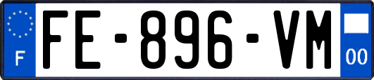 FE-896-VM