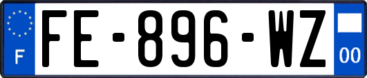 FE-896-WZ